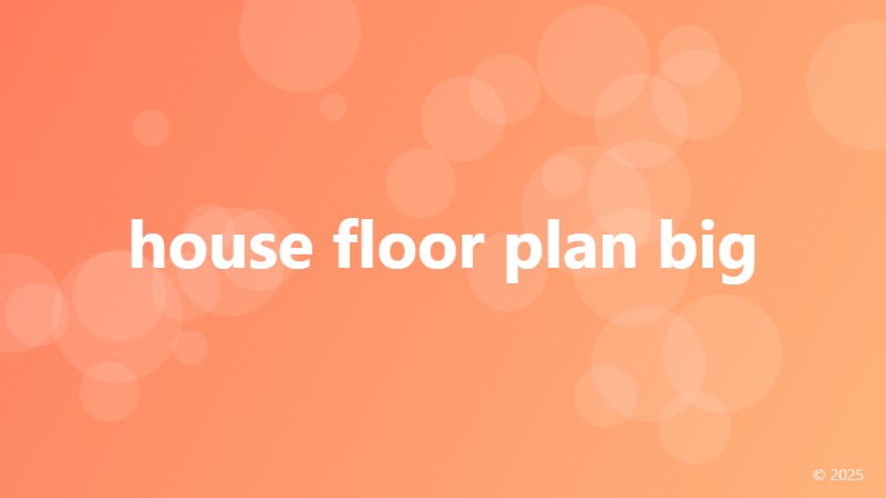 house floor plan big